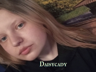 Daisycady