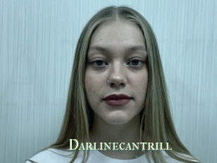 Darlinecantrill