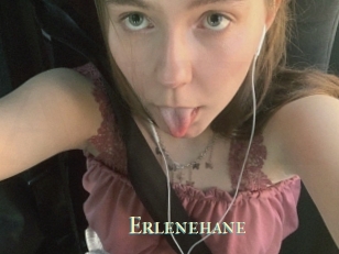 Erlenehane