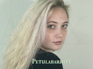 Petulabarritt