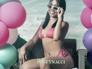 Rileynacci